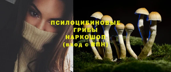 дмт Кинешма