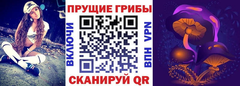 Купить  Козловка  Псилоцибиновые грибы GOLDEN TEACHER 
